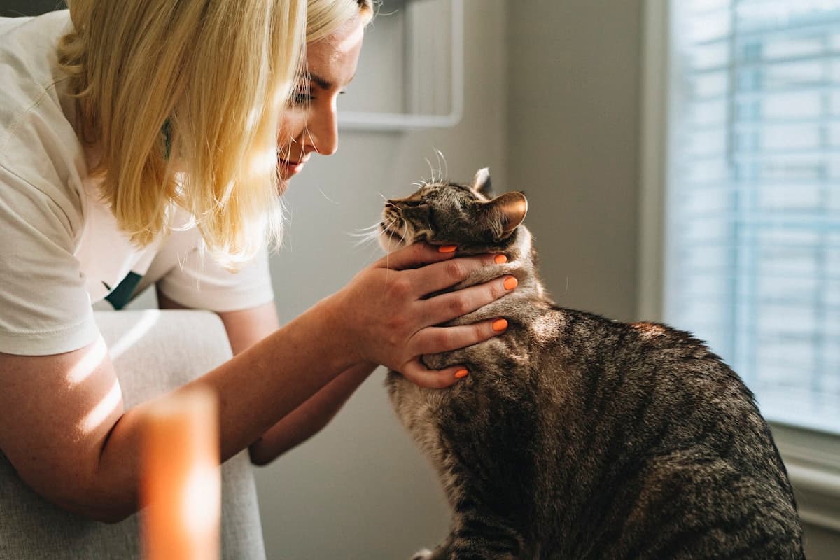 Una mujer sostiene con las dos manos la cabeza de un gato atigrado